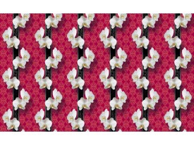 Fotobehang Bloemen, Orchidee | Wit | 152,5x104cm