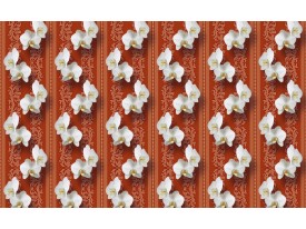 Fotobehang Papier Bloemen, Orchidee | Oranje | 254x184cm