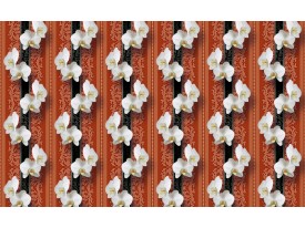 Fotobehang Papier Bloemen, Orchidee | Wit | 368x254cm