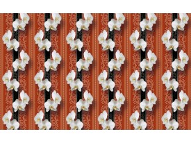 Fotobehang Bloemen, Orchidee | Wit | 208x146cm