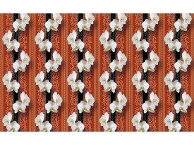 Fotobehang Bloemen, Orchidee | Wit | 152,5x104cm