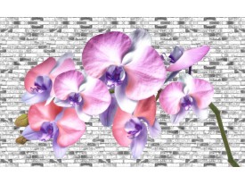 Fotobehang Papier Bloemen, Orchidee | Paars | 368x254cm