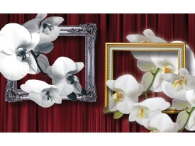 Fotobehang Bloemen, Orchidee | Wit | 104x70,5cm