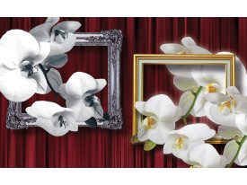 Fotobehang Vlies | Bloemen, Orchidee | Wit | 368x254cm (bxh)