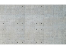 Fotobehang Betonlook | Grijs | 208x146cm