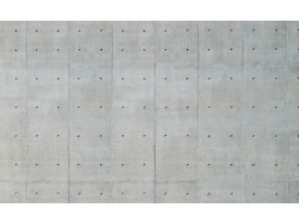 Fotobehang Betonlook | Grijs | 152,5x104cm