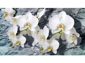 Fotobehang Papier Orchidee, Bloemen | Wit | 254x184cm