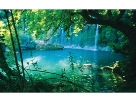 Fotobehang Natuur | Groen, Blauw | 152,5x104cm
