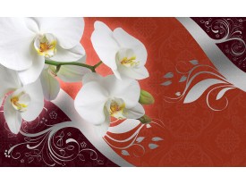 Fotobehang Papier Orchidee, Bloem | Wit | 254x184cm
