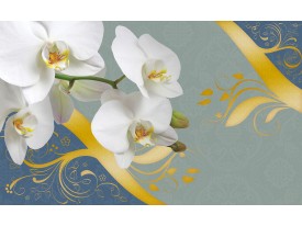 Fotobehang Papier Bloemen, Orchidee | Wit | 254x184cm