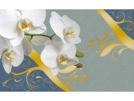 Fotobehang Vlies | Bloemen, Orchidee | Wit | 368x254cm (bxh)