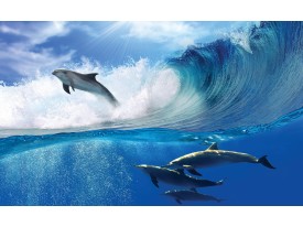 Fotobehang Vlies | Dolfijnen | Blauw | 368x254cm (bxh)
