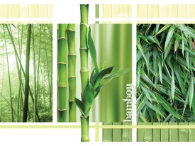 Fotobehang Papier Natuur | Groen | 368x254cm