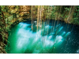 Fotobehang Natuur | Groen, Blauw | 104x70,5cm