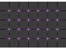Fotobehang Vlies | Design | Grijs, Paars | 368x254cm (bxh)