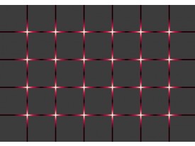 Fotobehang Design | Grijs, Rood | 416x254