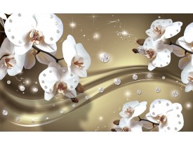 Fotobehang Vlies | Orchideeën, Bloemen | Wit | 368x254cm (bxh)