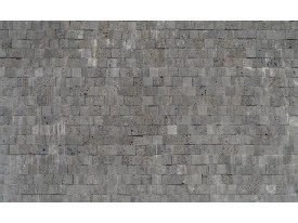 Fotobehang Vlies | Stenen, Muur | Grijs | 368x254cm (bxh)