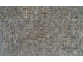 Fotobehang Vlies | Stenen, Muur | Grijs | 368x254cm (bxh)