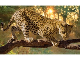 Fotobehang Vlies | Jaguar, Dieren | Geel | 368x254cm (bxh)