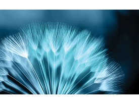 Fotobehang Bloemen | Blauw | 208x146cm