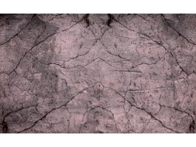 Fotobehang Papier Muur | Zwart | 368x254cm
