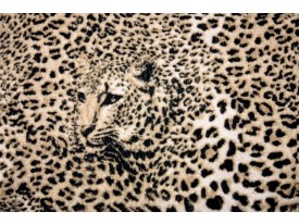 Fotobehang Papier Luipaard, Dieren | Bruin | 254x184cm