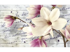 Fotobehang Papier Bloemen, Magnolia | Crème | 368x254cm