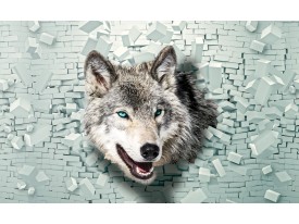 Fotobehang Papier Wolf, Muur | Grijs, Groen | 254x184cm