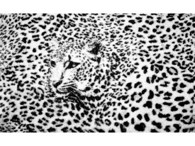 Fotobehang Papier Luipaard | Zwart, Wit | 254x184cm