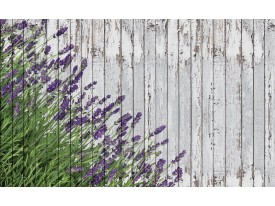 Fotobehang Hout, Lavendel | Grijs | 312x219cm