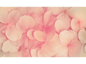 Fotobehang Papier Bloemen | Roze, Crème | 254x184cm
