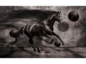 Fotobehang Papier Paard, Design | Zwart | 368x254cm