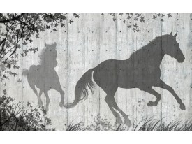 Fotobehang Papier Paarden, Modern | Grijs | 254x184cm