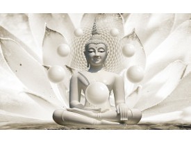 Fotobehang Vlies | Boeddha, Zen | Wit | 368x254cm (bxh)