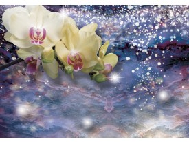 Fotobehang Papier Orchideeën, Modern | Blauw | 254x184cm
