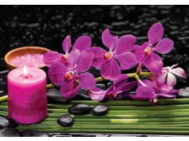 Fotobehang Papier Bloemen, Orchidee | Paars | 254x184cm