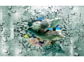 Fotobehang Vlies | 3D, Dolfijnen | Groen | 368x254cm (bxh)