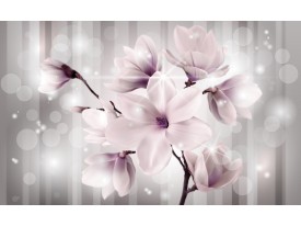 Fotobehang Vlies | Lente, Magnolia | Paars | 368x254cm (bxh)