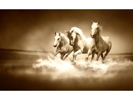 Fotobehang Papier Paarden | Sepia | 254x184cm