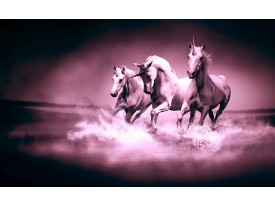 Fotobehang Paarden | Paars | 104x70,5cm