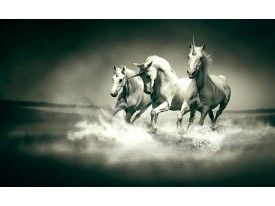 Fotobehang Papier Paarden | Grijs, Groen | 254x184cm