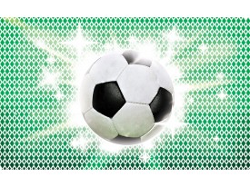 Fotobehang Voetbal | Groen, Wit | 208x146cm