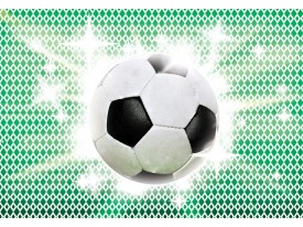Fotobehang Vlies | Voetbal | Groen, Wit | 368x254cm (bxh)