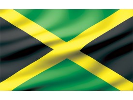 Fotobehang Vlag | Zwart, Groen | 312x219cm