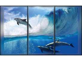 Fotobehang Dolfijnen | Blauw | 312x219cm