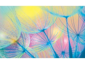 Fotobehang Papier Abstract | Geel, Blauw | 254x184cm
