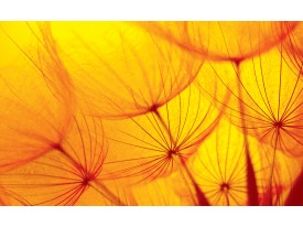 Fotobehang Vlies | Abstract | Geel, Oranje | 368x254cm (bxh)