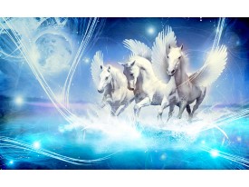 Fotobehang Papier Paarden | Blauw | 254x184cm
