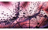 Fotobehang Papier Bloemen | Paars, Roze | 254x184cm